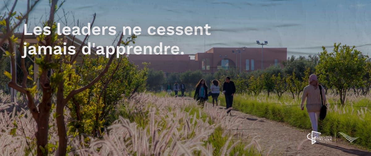 UM6P Executive Education